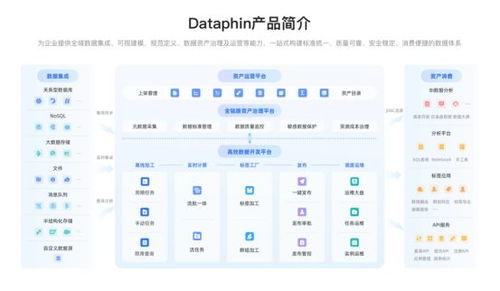 企業(yè)數(shù)據(jù)系統(tǒng)建設(shè) 治理價(jià)值凸顯，2025主流產(chǎn)品與服務(wù)全景展望